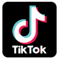 TikTok Auto Followers